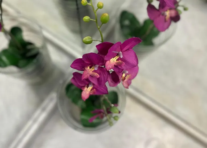 Lägenhet Heated Poolside Paradise Cristianos *